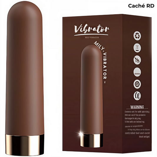 Vibrador de Bala